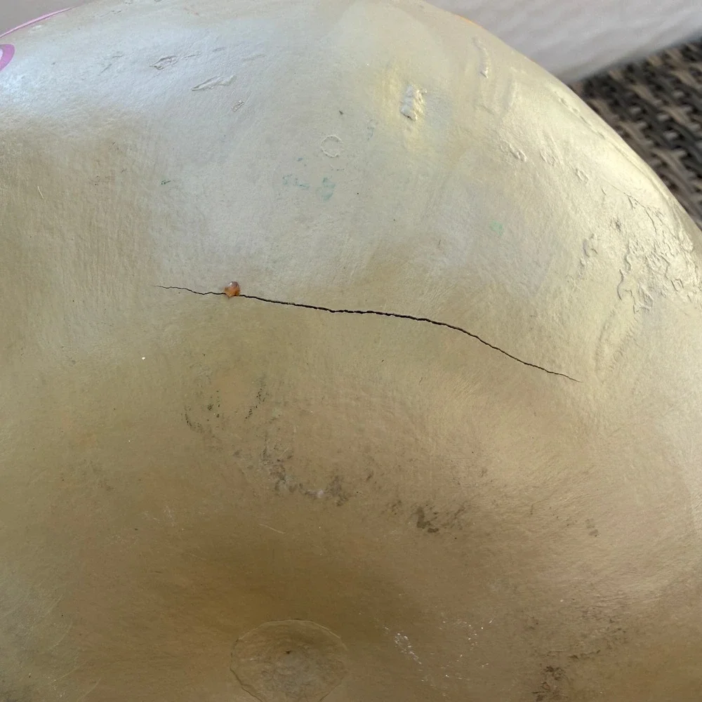 Hand Painted Gourd Bowl Floral Folk Art Rustic Boho Decor Natural Shell
